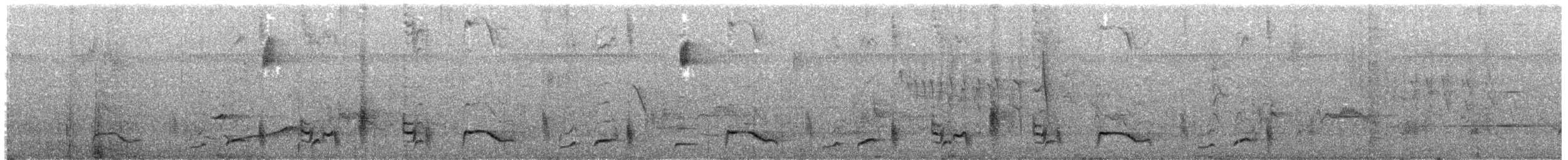 Troglodyte à nuque rousse (groupe capistratus) - ML203693071