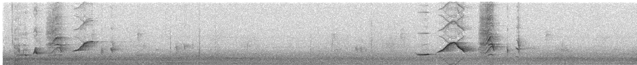 Пересмішник білочеревий - ML203693401