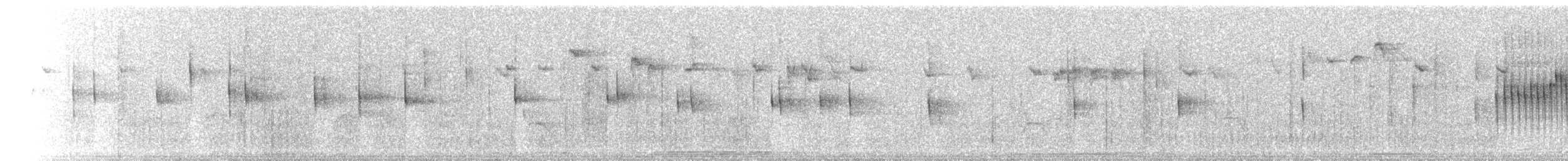 Thorn-tailed Rayadito - ML203694151