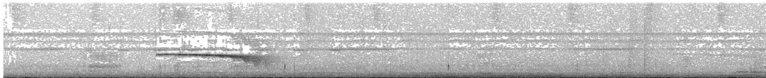 Kuzeyli Kestanerengi Karıncakuşu (pallens) - ML203694771