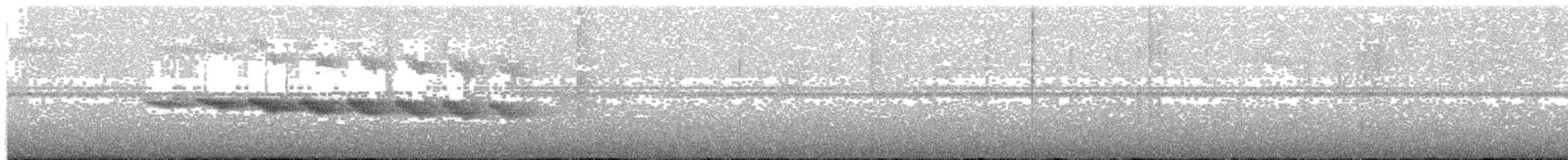 Star-throated Antwren - ML203695271