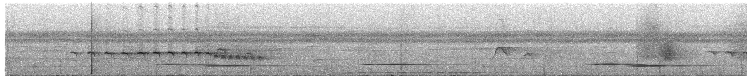 Grauwangen-Ameisenvogel - ML203695621