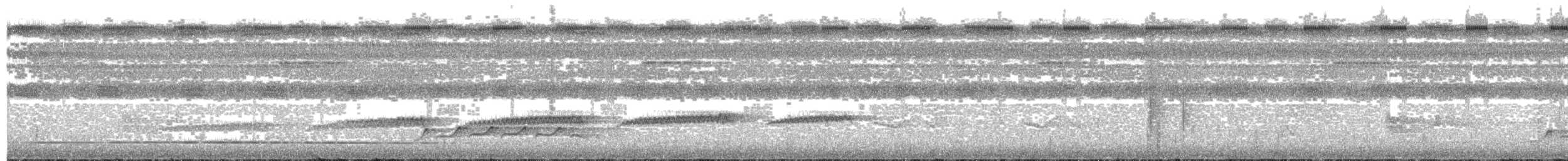 Мурав’янка-куцохвіст бразильська (підвид nigrigula) - ML203695901
