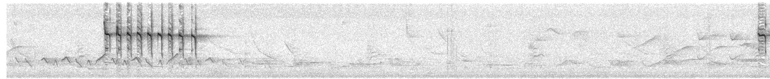 Isabellstreifen-Meisenschlüpfer - ML203696051