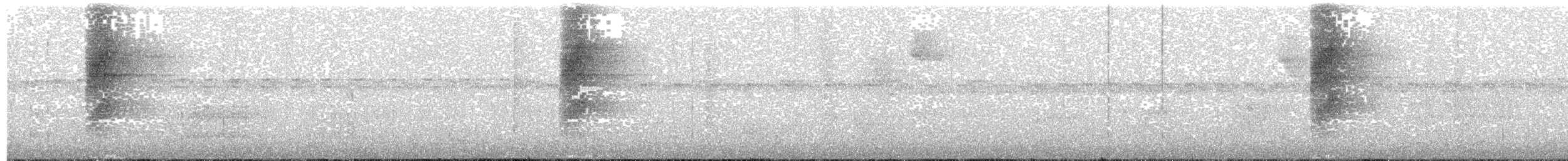 Kara Kulaklı Bityiyen - ML203696251
