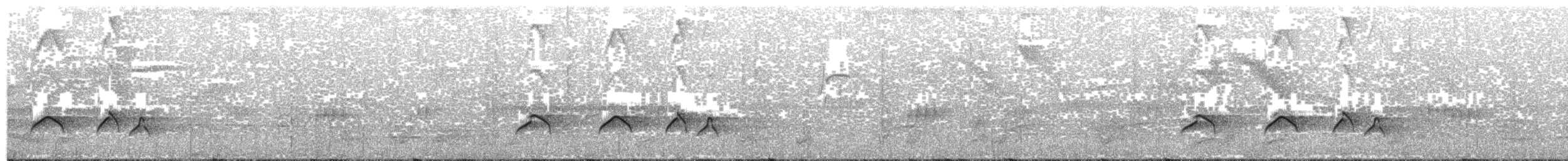 Rufous-tailed Attila - ML203696271