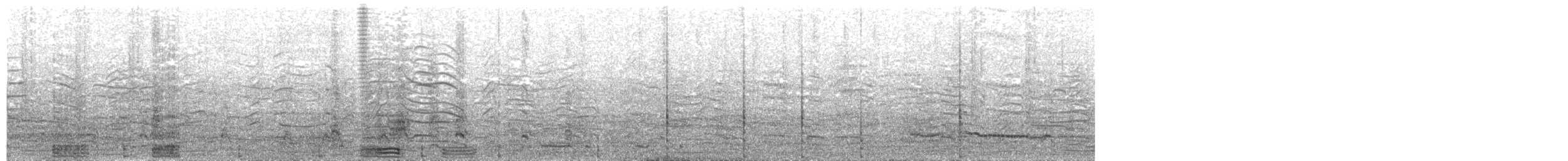 קורמורן ימי (אטלנטי) - ML203696791