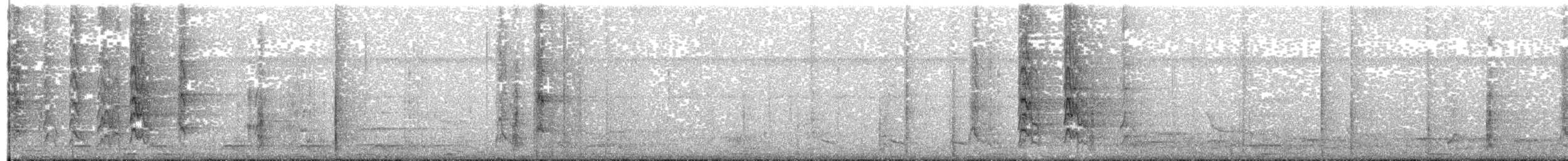 Амазонская которра (lucida) - ML203697041