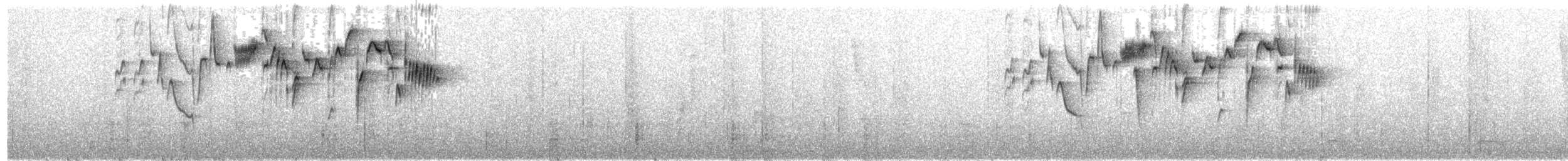 Mountain Wren - ML203697771