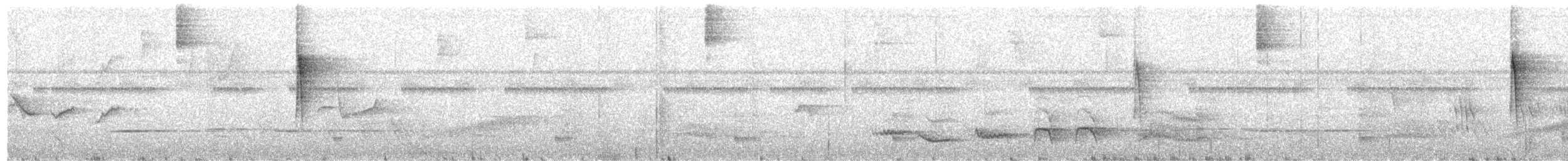 Paruline à couronne dorée (hypoleucus) - ML203698141