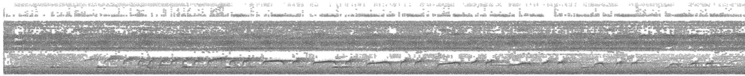 brunbeltedovenfugl - ML203698371