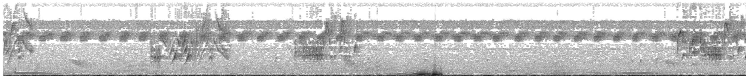 Eufonia Ventricanela - ML203698471