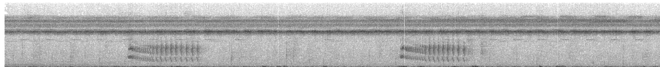 Синешапочный трогон - ML203699521