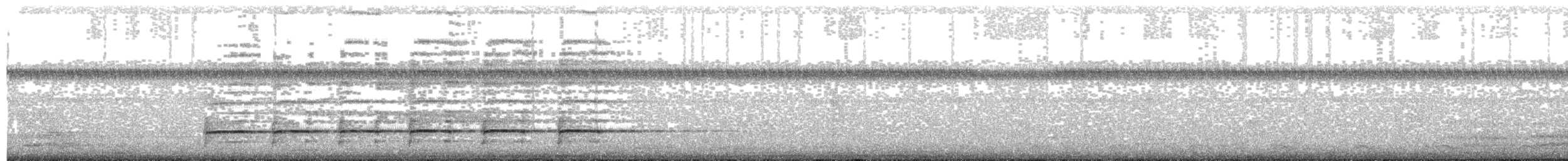 svartbrystspett (occidentalis) - ML203699721