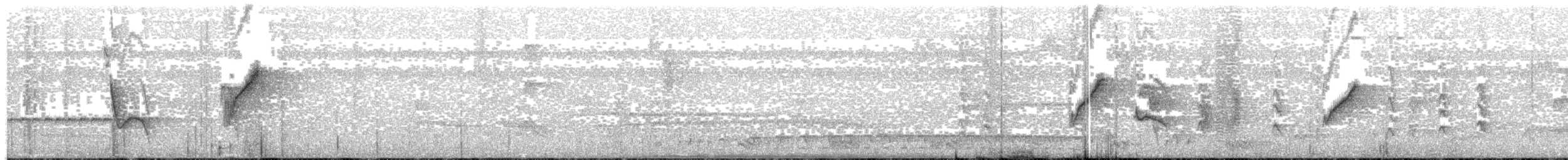 Белокрылая сорокопутовая танагра - ML203699831