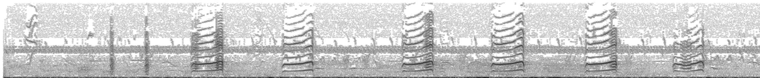 rødbrysttukan (bitorquatus/reichenowi) - ML203699861