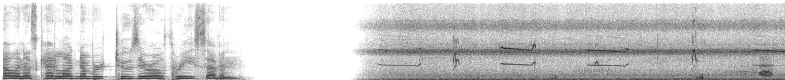 Great Blue Heron (Great Blue) - ML2037