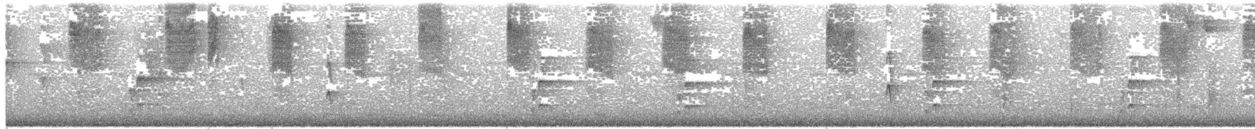 opalgumptanagar (velia gr.) - ML203701361