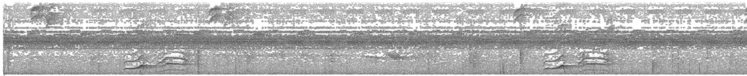 Pic ondé (groupe grammicus) - ML203701371