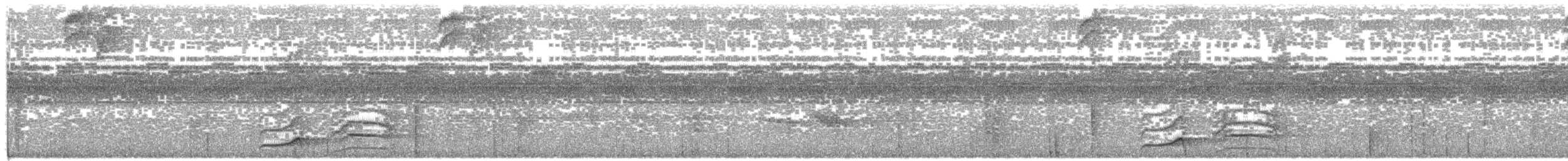 Waved Woodpecker (Scale-breasted) - ML203701371