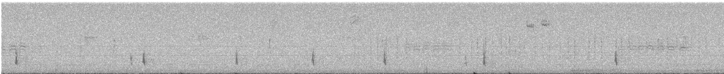 Hermit Thrush - ML203757561