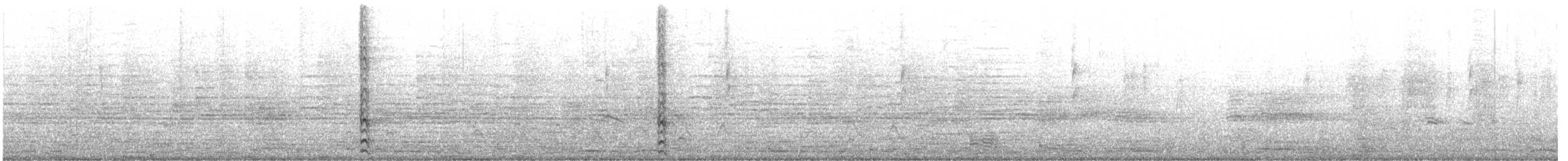 Amerika Sutavuğu x Amerika Mekesi - ML203760821