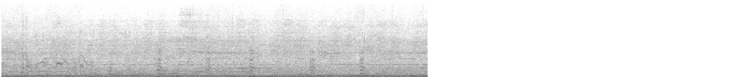 Common Gallinule x American Coot (hybrid) - ML203762011