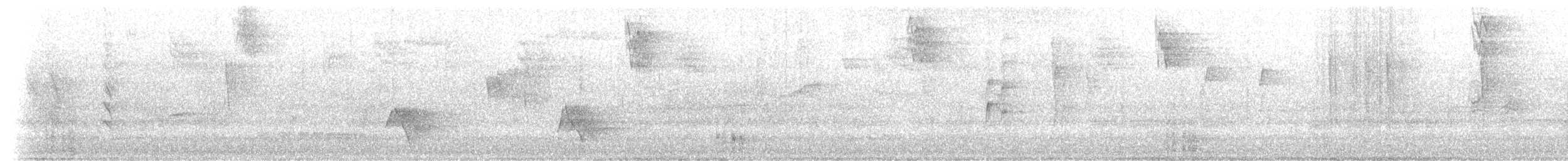 ホオジロマユミソサザイ - ML203770451