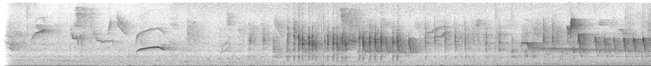 Haubenkleintyrann [pusillum-Gruppe] - ML203771041