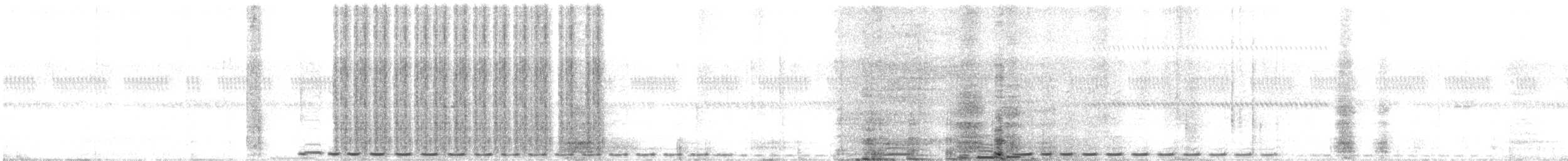 Cucal de Burchell - ML203776881