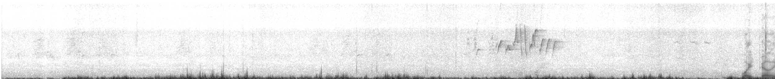 Suimanga Pechiblanco - ML203779371