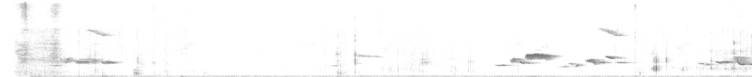 Zorzal de Gurney - ML203805581