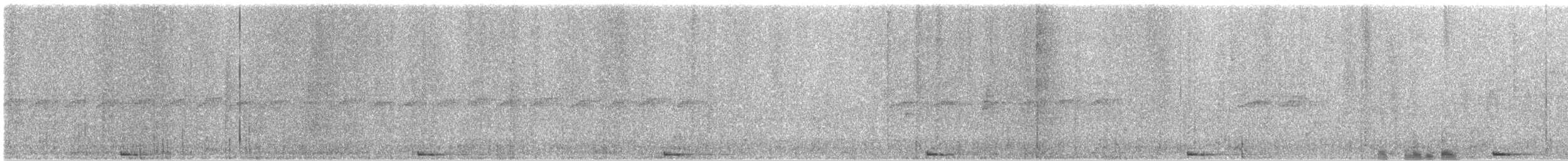 Carraca Terrestre Paticorta - ML20380691