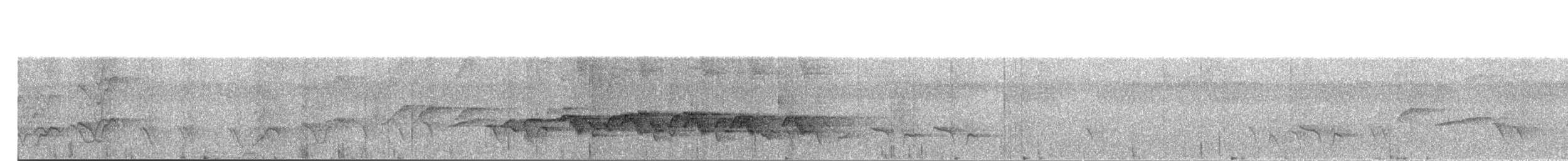 Short-tailed Drongo - ML203883101