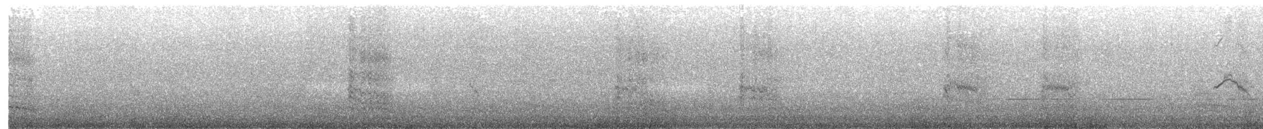 Mouette argentée (novaehollandiae/forsteri) - ML203884031