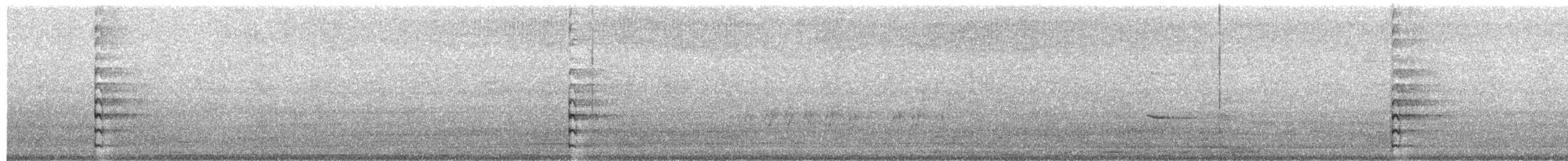Common Gallinule (American) - ML203886061