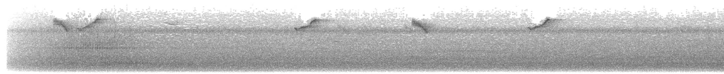 Dicée des Célèbes (groupe celebicum) - ML203886551