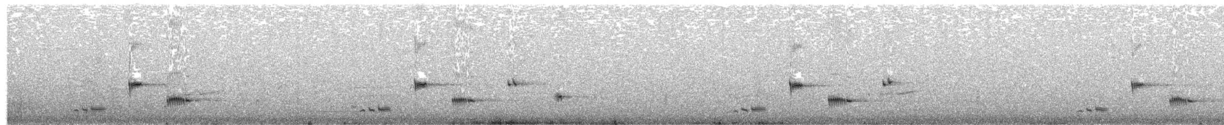 Черногорлая птица-бич (nigrogularis/oberon) - ML203886751