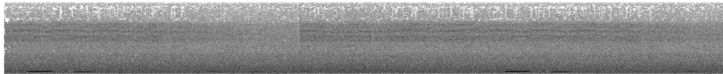 rypedue - ML203886841