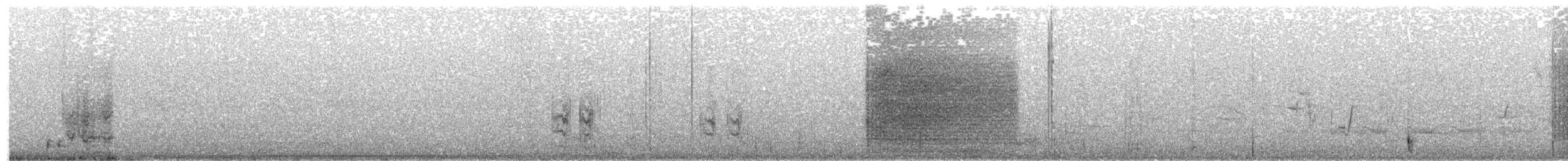 Ойсея плямиста - ML203886921