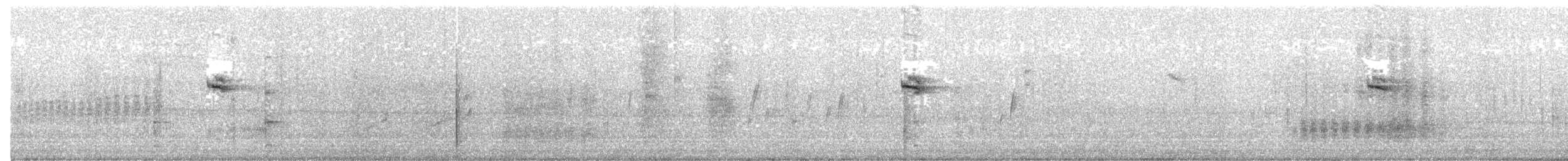 sýkora uhelníček (ssp. britannicus/hibernicus) - ML203887081
