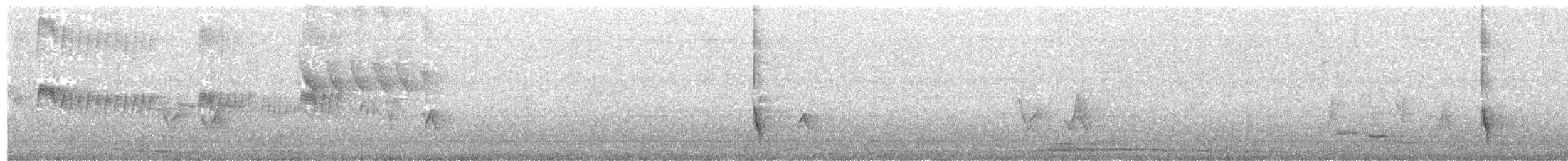Cuban Blackbird - ML203887231