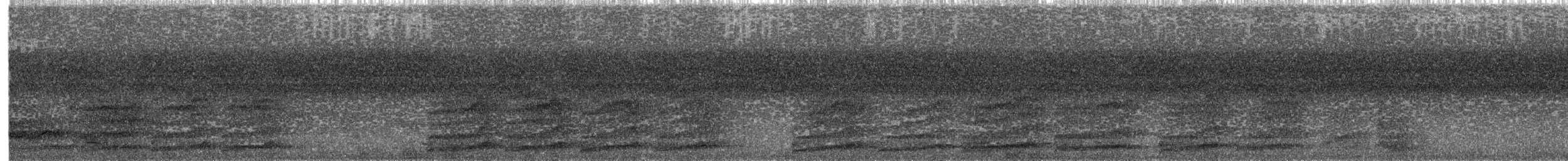 Ойсея плямиста - ML203887311
