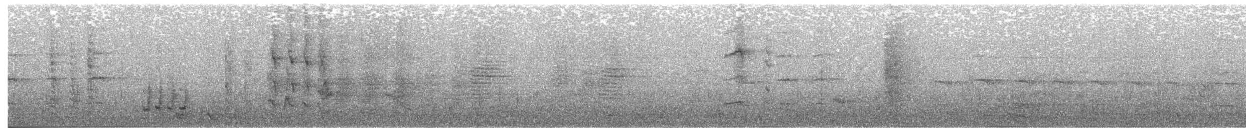 White-streaked Honeyeater - ML203887471