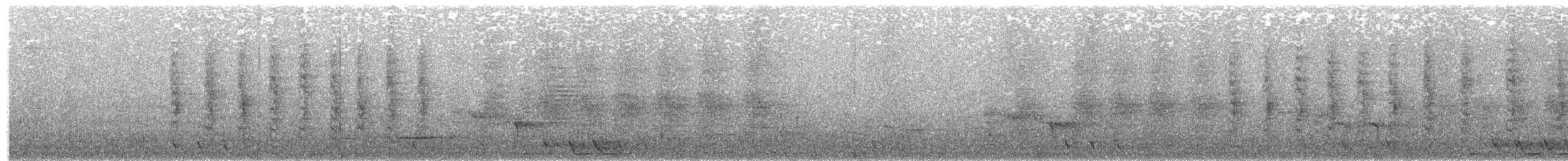 White-streaked Honeyeater - ML203887481