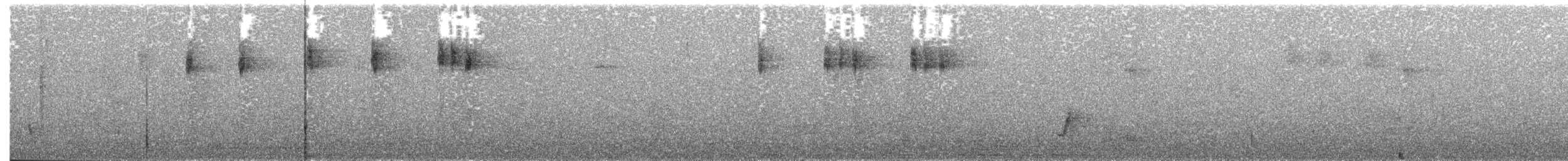 Tasmanya Serikornisi - ML203887861