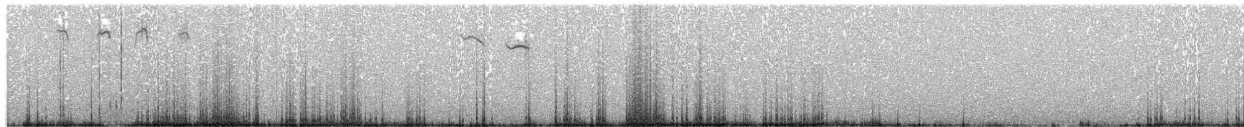 Short-tailed Grasswren - ML203887891