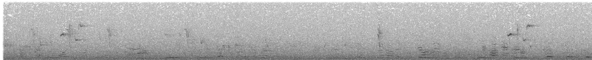 Голуб гострочубий (підвид plumifera/leucogaster) - ML203888371