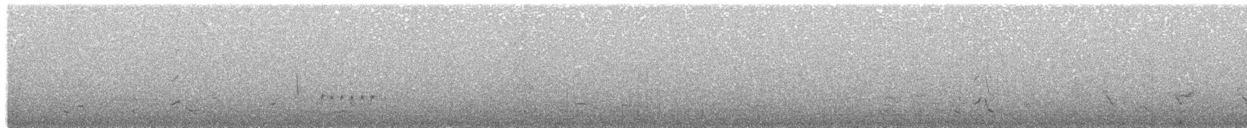 rosela černohlavá - ML203888401