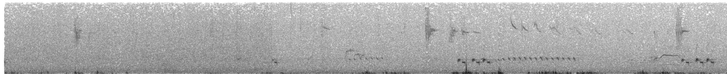 Амадина-рубінчик малинова (підвид phaeton) - ML203888431